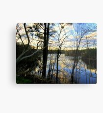 Camouflage ! Metal Print