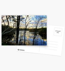 Camouflage ! Postcards