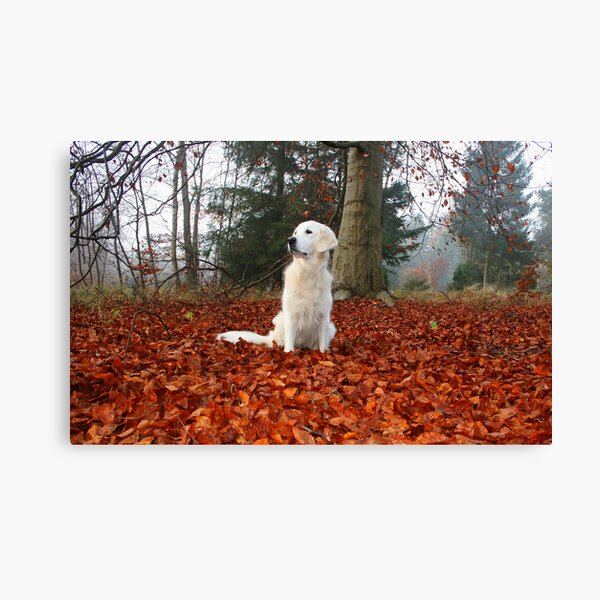 Item preview, Golden Retriever in golden leaves designed and sold by Trine.
