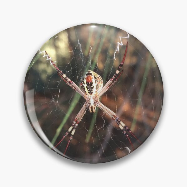 Artikelvorschau, Andreaskreuz-Spinne (Argiope keyserlingi) entworfen und verkauft von Red Wolf.