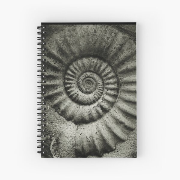 Spiral Spiral Notebook