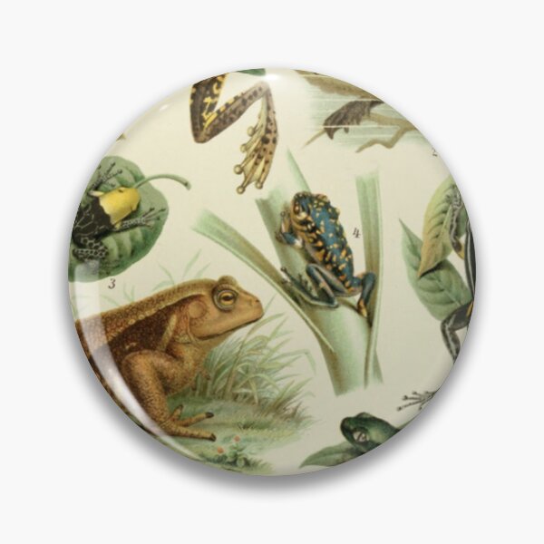 Item preview, Frogs And Toads designed and sold by BlueSpecsStudio.