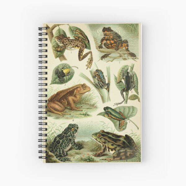 Aperçu de l'œuvre Grenouilles et crapauds créée et vendue par BlueSpecsStudio.