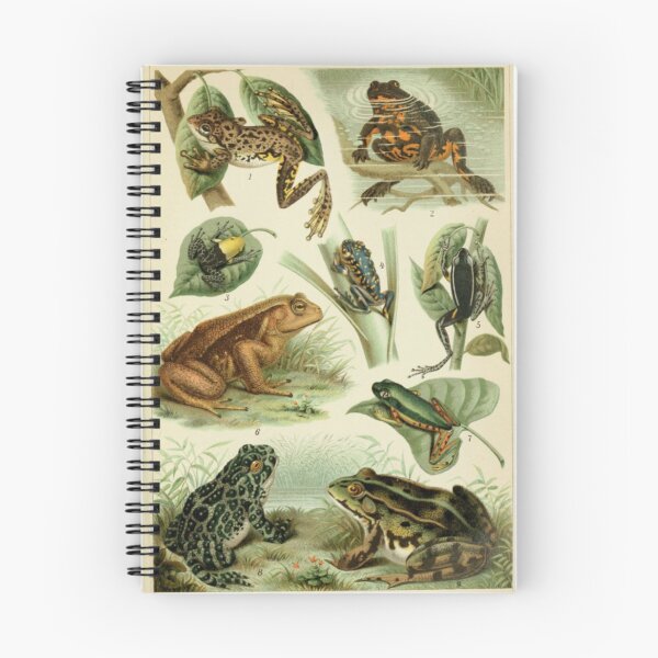 Item preview, Frogs And Toads designed and sold by BlueSpecsStudio.