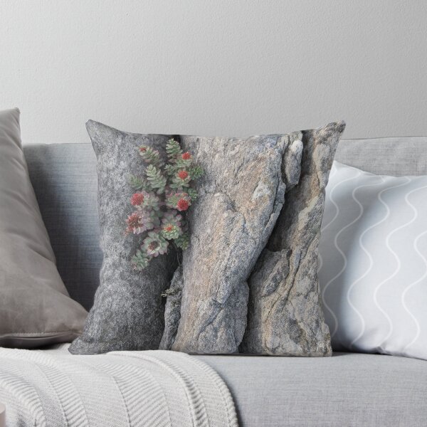 Item preview, Suculenta en una playa noruega designed and sold by sloloris.