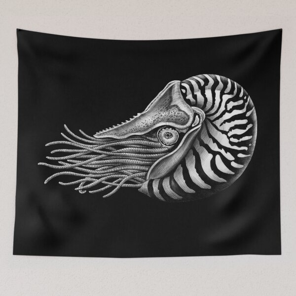 Item preview, Nautilus designed and sold by TimJeffsArt.