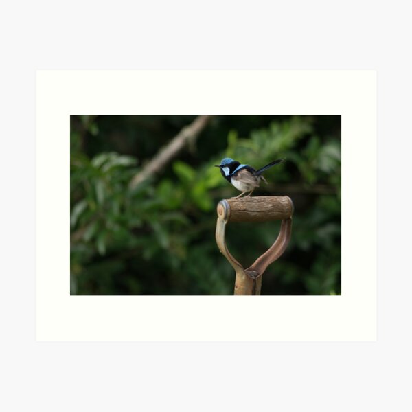 Item preview, A tiny wren on the garden fork designed and sold by Clare Colins.