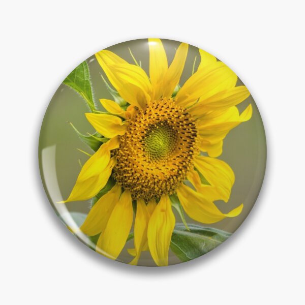 Item preview, Facing the Sun designed and sold by Clare Colins.