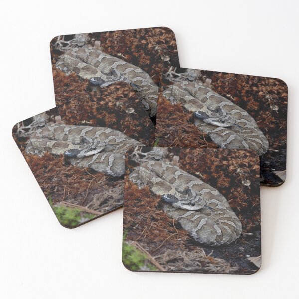 Item preview, Eastern Hognose Snake designed and sold by Pauline Catling.
