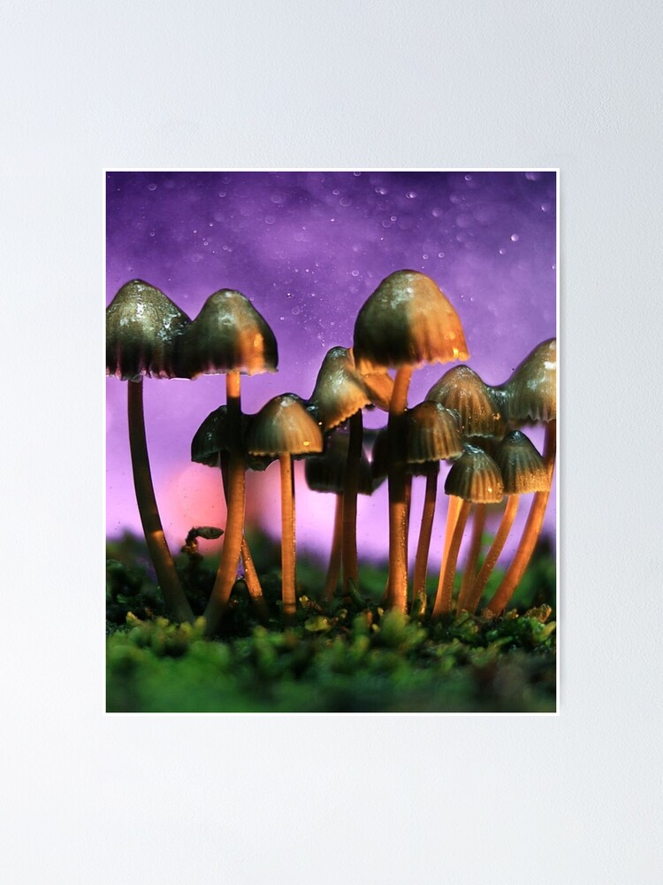 Trippy Magic Mushroom Music Festival Design Poster By Rulesforrebels Redbubble