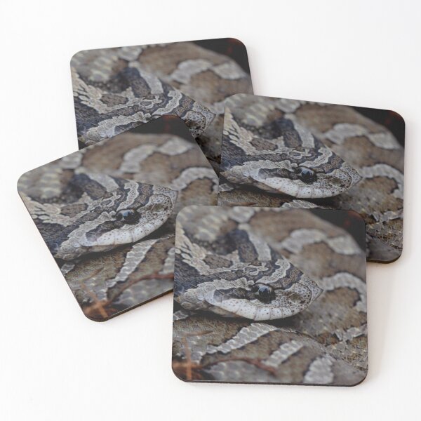 Item preview, Eastern Hognose Snake designed and sold by Pauline Catling.