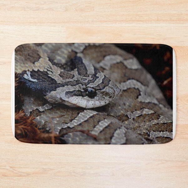 Item preview, Eastern Hognose Snake designed and sold by Pauline Catling.