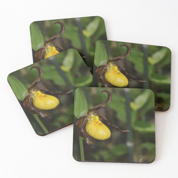 Item preview, Small Yellow Lady's-slipper designed and sold by Pauline Catling.