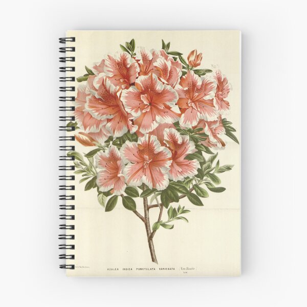 Item preview, Flore des serres et des... designed and sold by Rodeoclash.
