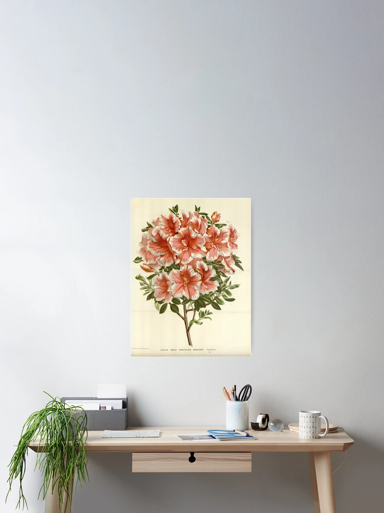 Aperçu 2 sur 3. Poster avec l'œuvre Flore des serres et des... créée et vendue par Rodeoclash.