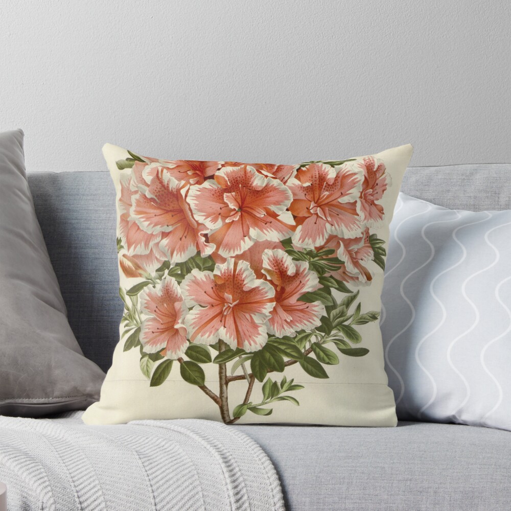 Aperçu de l'œuvre Coussin créée et vendue par Rodeoclash.