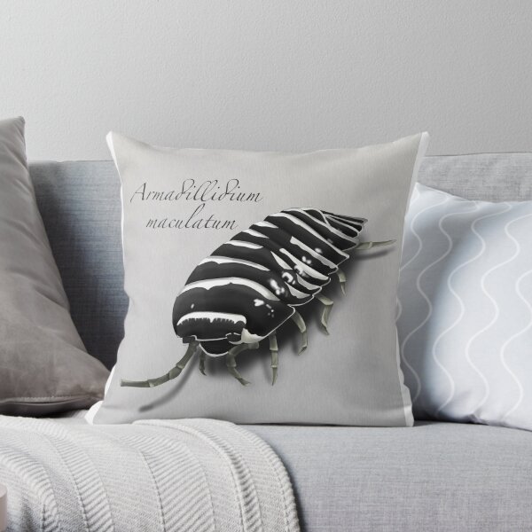 isopod pillow