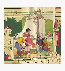 Animal Collective - Feels Photographic Print