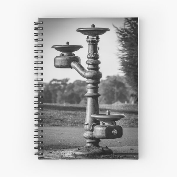 Item preview, Classic Water Fountain 2 designed and sold by Robert Alsop.