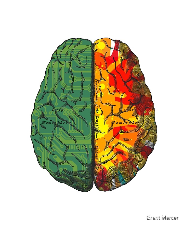 left hemisphere brain