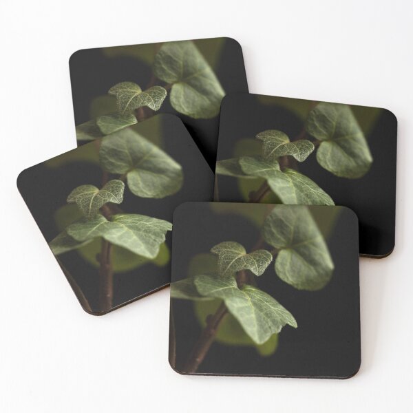Item preview, English Ivy designed and sold by ShutterOwl.