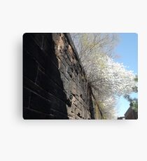 Harsimus Branch Embankment, Abandoned Pennsylvania Railroad Embankment, Jersey City, New Jersey Metal Print