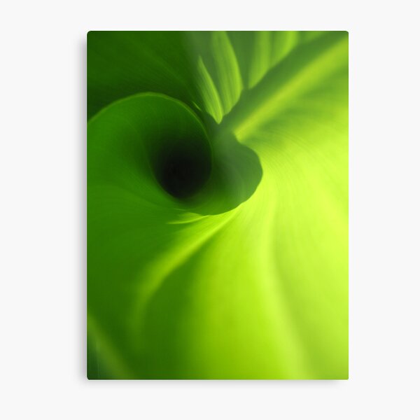 Canna Metal Print