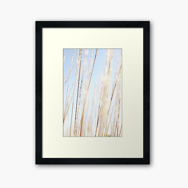 Lasting Light Framed Art Print