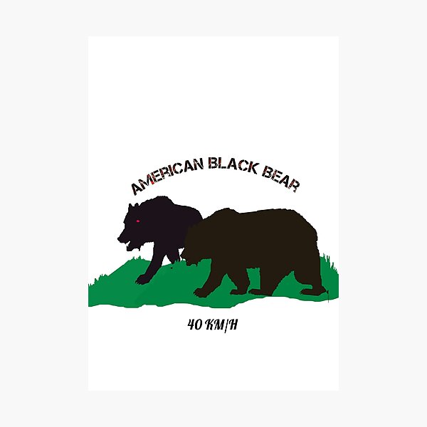 Item preview, American Black bears  designed and sold by kamal09.