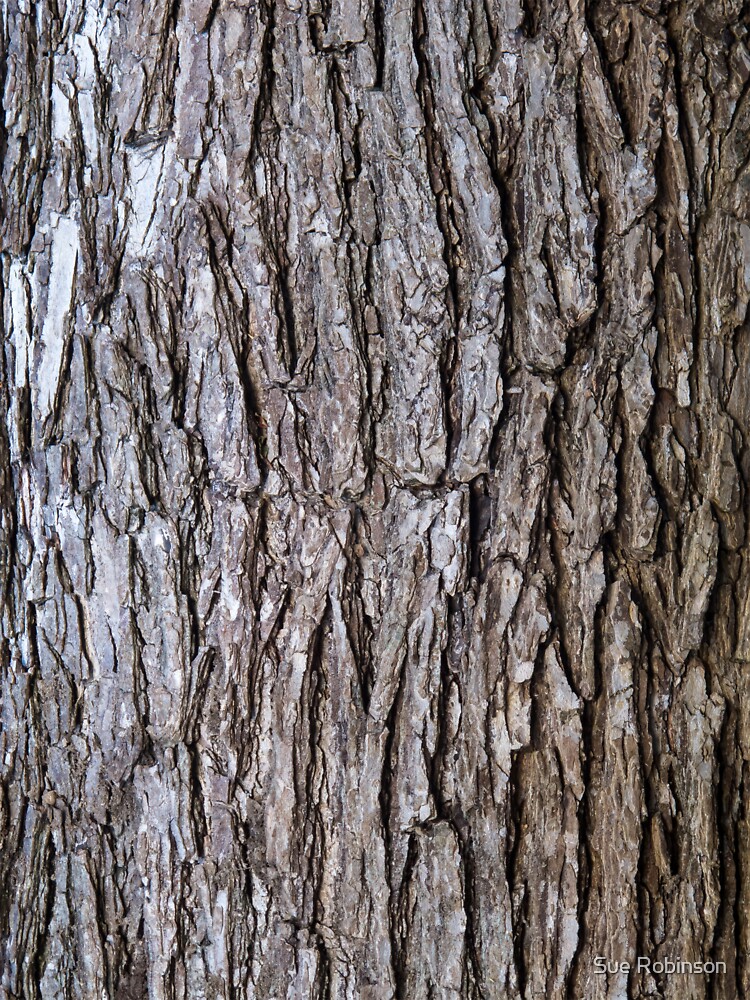 "Elm Tree Bark" Sticker for Sale by SueRobinson Redbubble