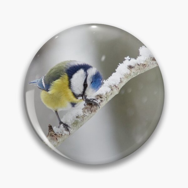 Item preview, Eurasian blue tit at your service designed and sold by Jouko Lehto Photography.