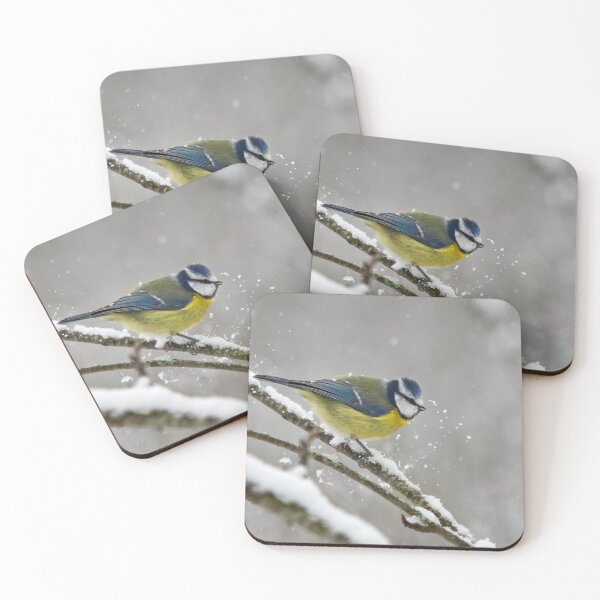 Item preview, Eurasian blue tit splashing the snow designed and sold by Jouko Lehto Photography.