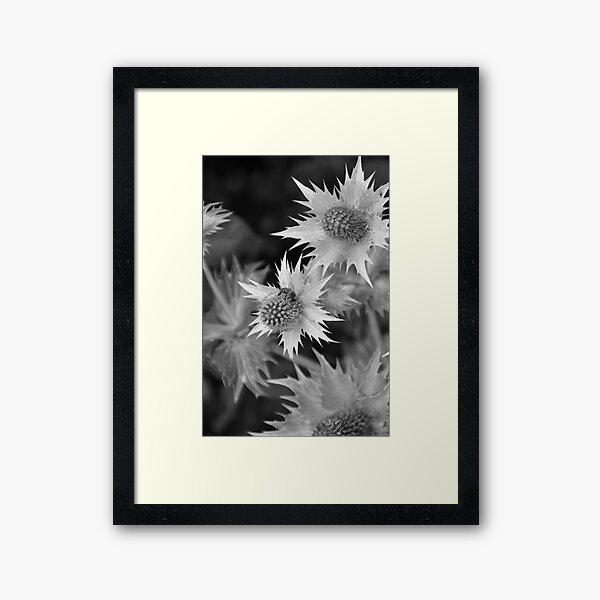 Bee on Thistle Framed Art Print