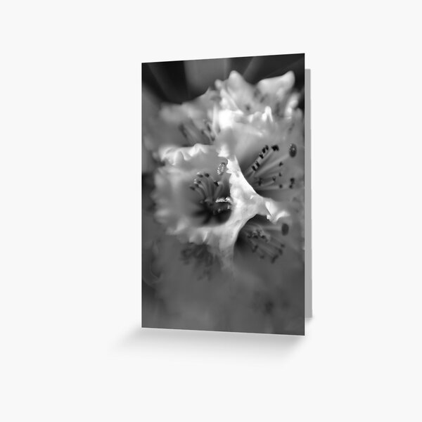Delicious Greeting Card