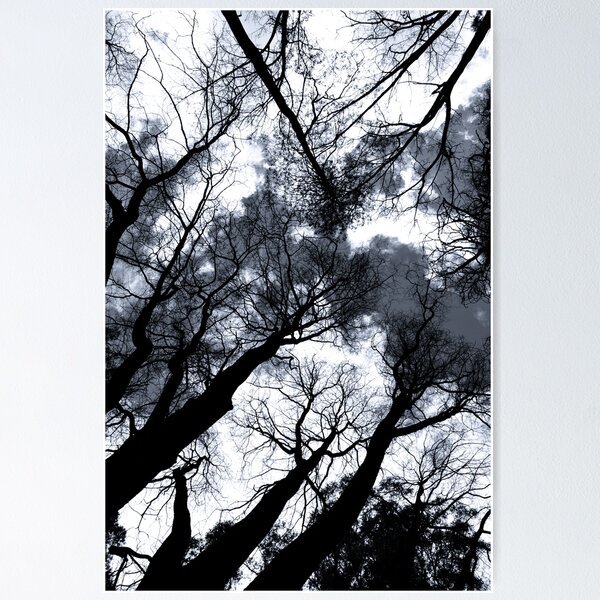 Surrounded by Trees Poster