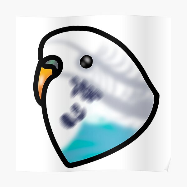 Blue Budgie Parakeet Poster