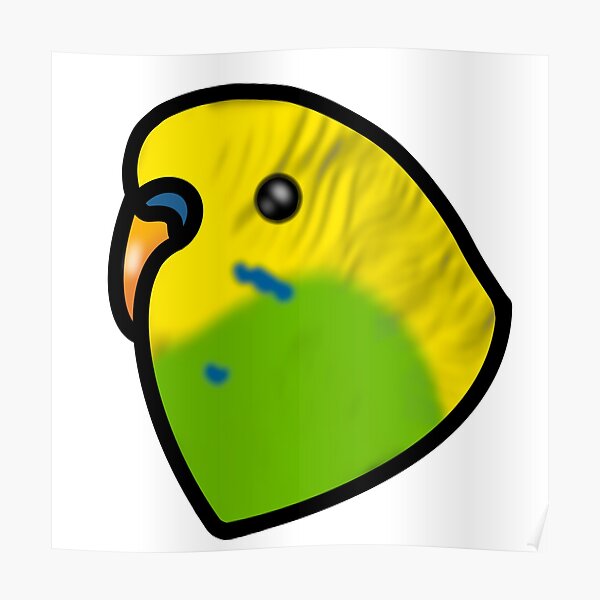 Yellow and Green Budgie Parakeet Poster