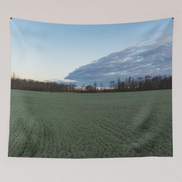 Item preview, Delicate Young Crops - Coordinated Clouds and Furrows designed and sold by Georgia Mizuleva.