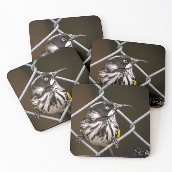 Item preview, Jailbird designed and sold by Steve Randall.