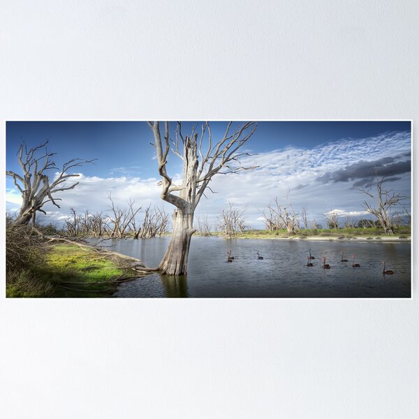 Item preview, Murray River Scene designed and sold by Shannon Rogers.