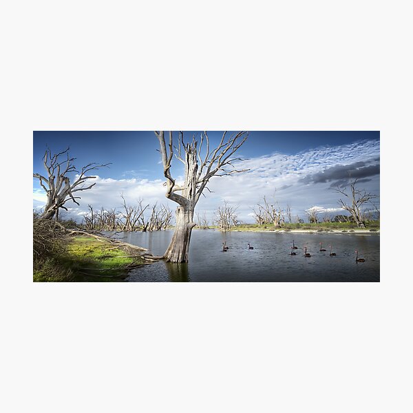 Item preview, Murray River Scene designed and sold by Shannon Rogers.