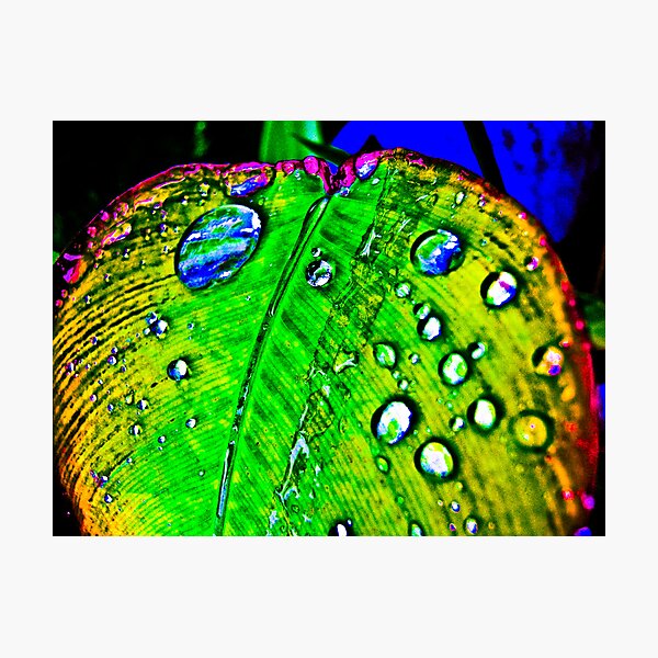 Diamonds are forever... Photographic Print