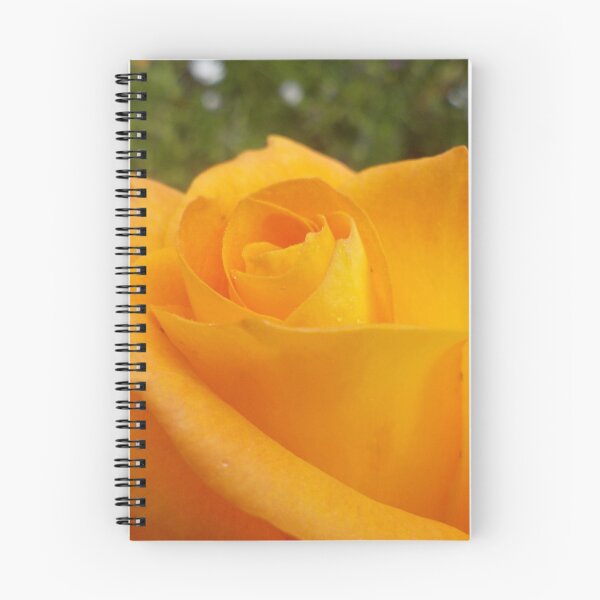 Item preview, Sunrise Rose designed and sold by GriffMAD.