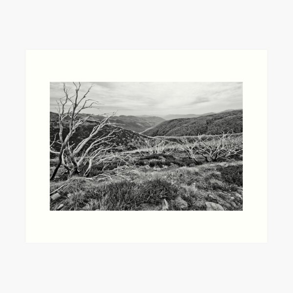 Item preview, Falls Creek 2 - Black and White designed and sold by pennyswork.