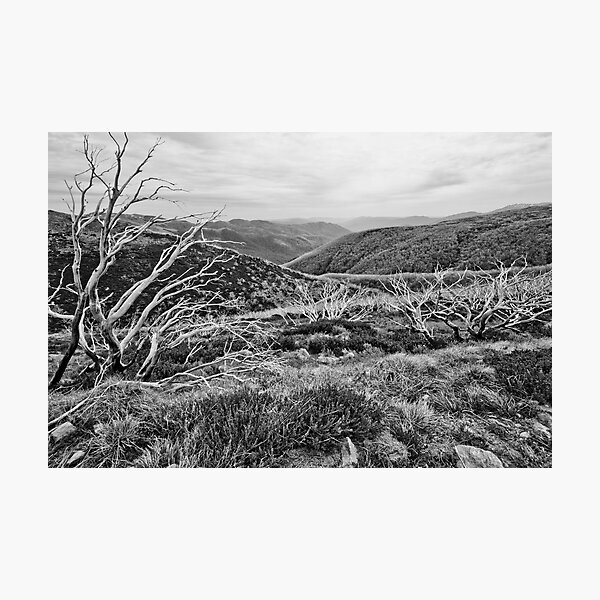 Item preview, Falls Creek 2 - Black and White designed and sold by pennyswork.