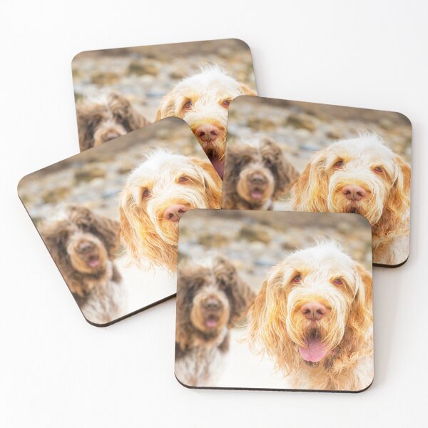 Item preview, Beach hair Spinone by heidiannemorris designed and sold by FOLK ART FUSION by heidiannemorris.