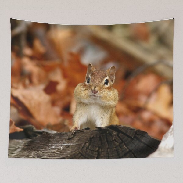 Item preview, Chipmunk designed and sold by Enola Gay Wagner.
