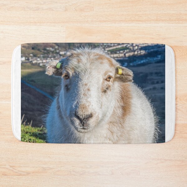 Item preview, Rhondda Sheep Pleading for Food. "It's not unusual....." !! designed and sold by Cameranick.