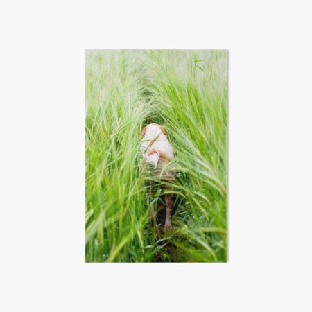 Disappearing Spinone Art Board Print