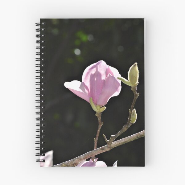 Item preview, Pink Tulip Magnolia Bloom and Buds designed and sold by Warren  Thompson.